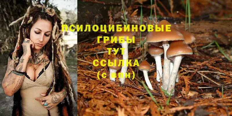 Галлюциногенные грибы Magic Shrooms Ковылкино